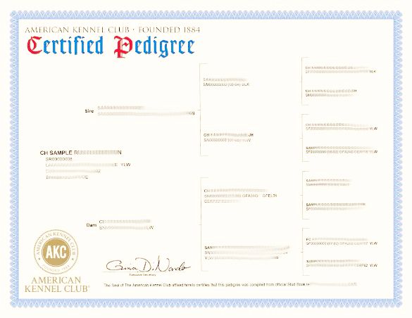 Question of the Week