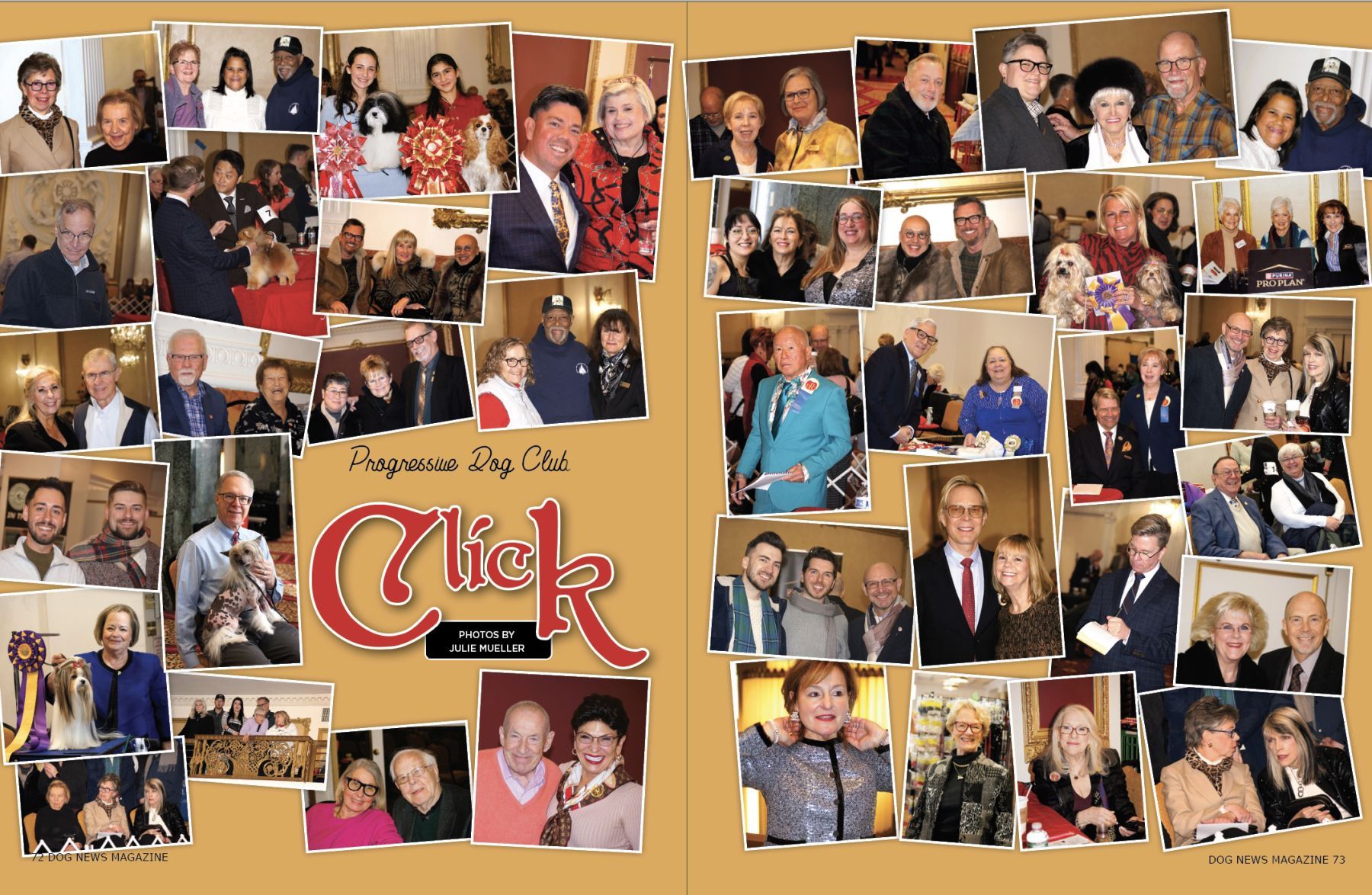 Progressive Dog Club 