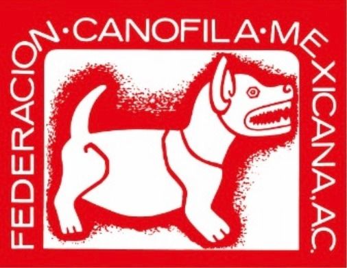 The Gossip Column: April 10, 2026