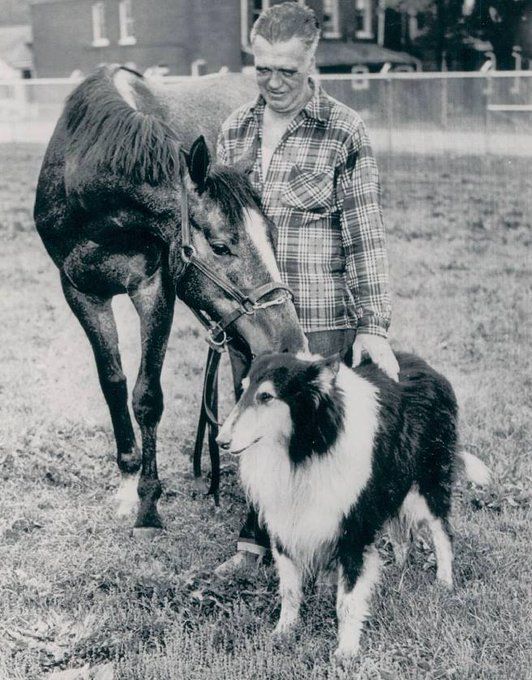 The Real Dogs of Churchill Downs