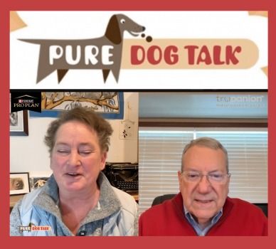 Pure Dog Talk Interview AKC