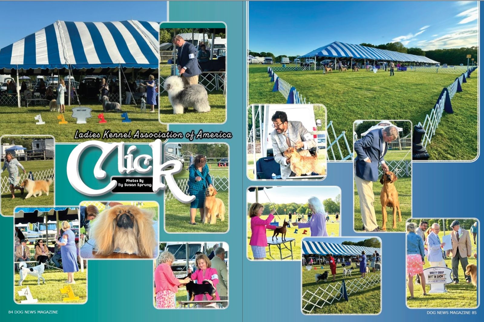 Click! Ladies Kennel Association of America
