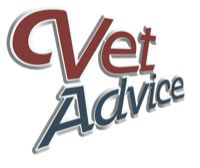 Merry Fitzgerald DVM